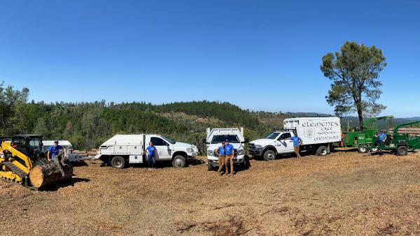 Elements Tree Service Inc