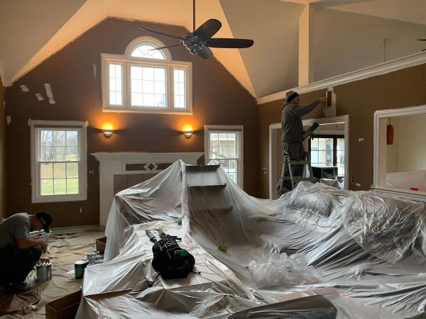 Finish Concepts Pro Painting