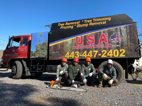 USA Tree Services