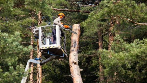All Seasons Outdoor Services