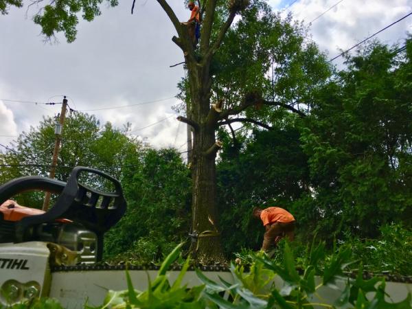 All Seasons Outdoor Services