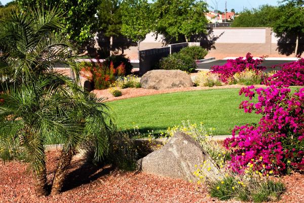 Gold Medal Landscape Management