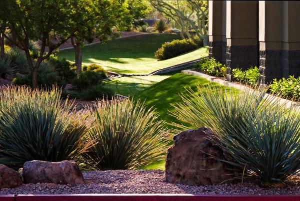 Gold Medal Landscape Management