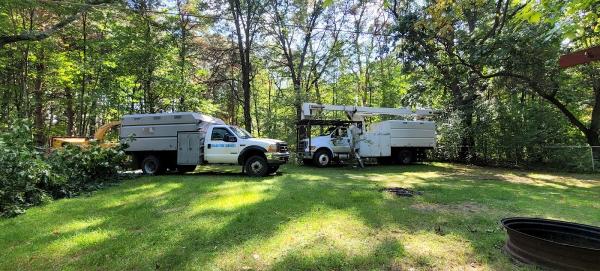 Shiloh Tree Services