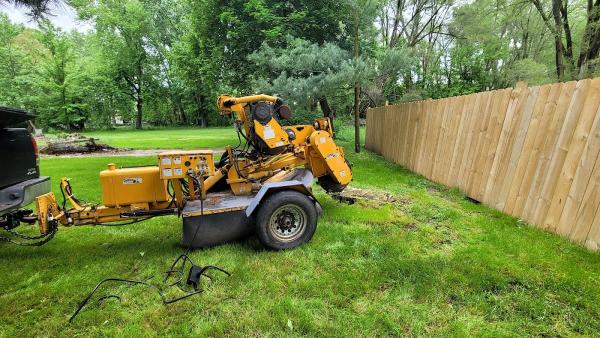 Shiloh Tree Services