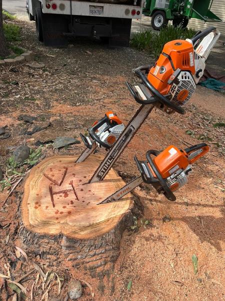 HV Tree Care