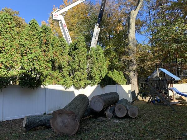 A and H Tree Service