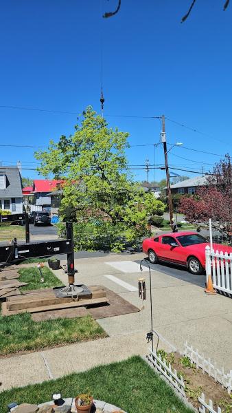 A and H Tree Service