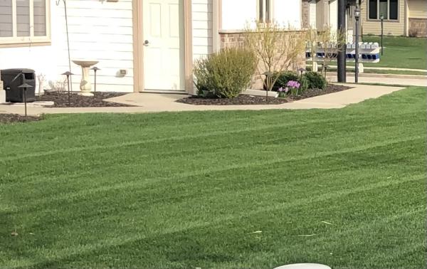 Paradise Lawnscapes LLC