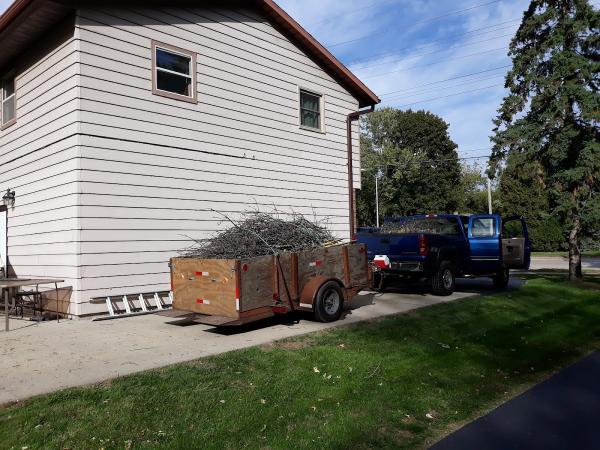 Df Tree and Shrub Llc