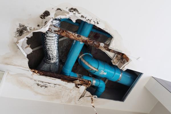 Leduc & Dexter Plumbing