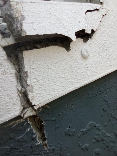 Palm Bay Mold Removal