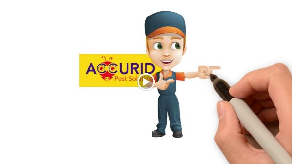 Accurid Pest Solutions Inc.