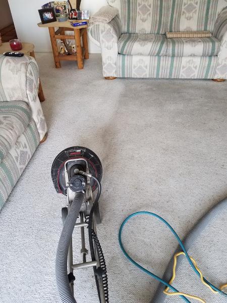 Shaggy's Carpet Cleaning