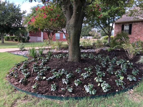 Hawkins Landscape & Lawn Maintenance