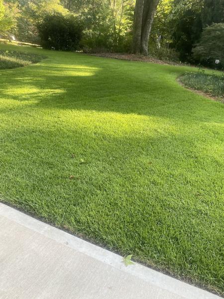 Landscape Innovations