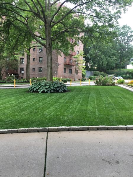 C & C Landscape Contractors
