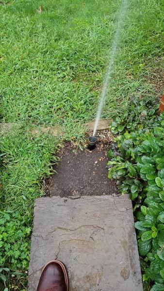 Professional Lawn Care