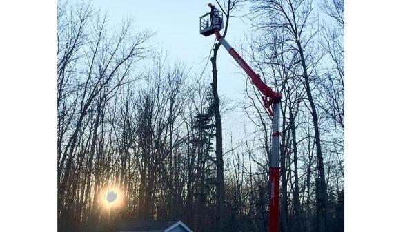 Life Arborist Tree Services