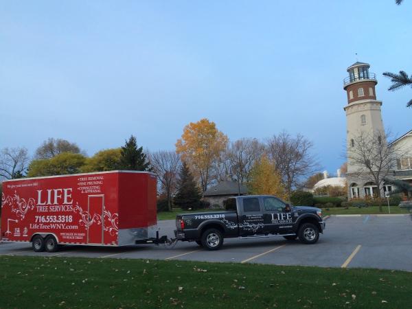 Life Arborist Tree Services