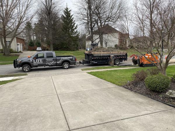Life Arborist Tree Services