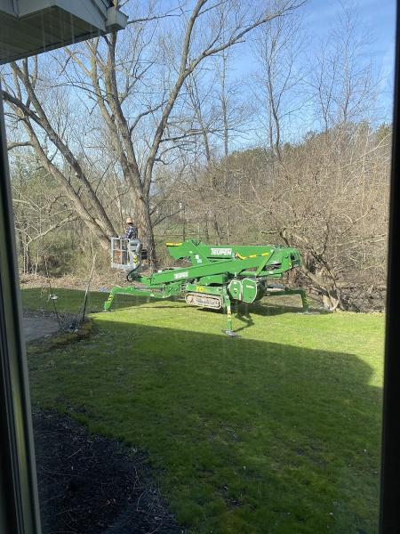 Life Arborist Tree Services