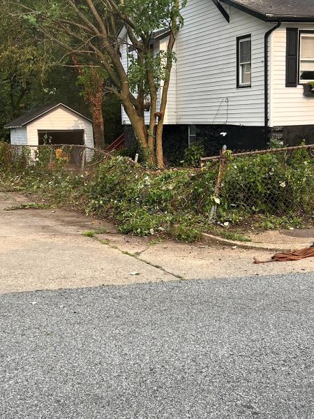 Red Oaks Tree Service.
