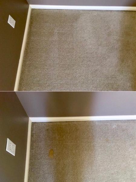 Dove Carpet Cleaning & Upholstery Experts