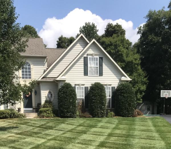 Lush Green Lawn
