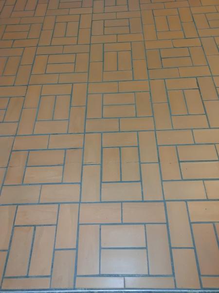 All In One Cleaning 1 Llc