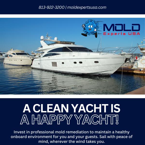 Mold Experts USA