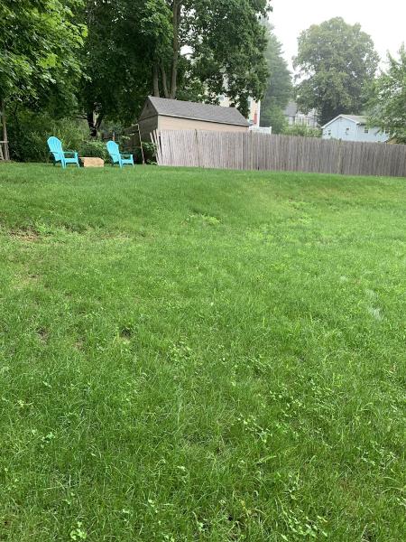 Kelly's Landscaping
