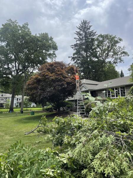 E & B Tree Service