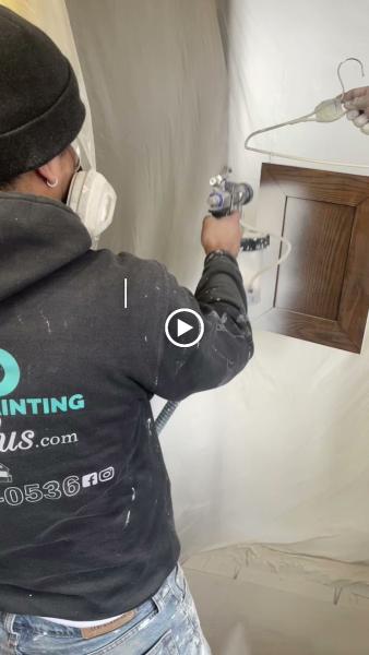 Pro Painting Plus
