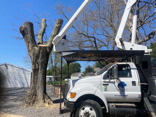 Integritree LLC