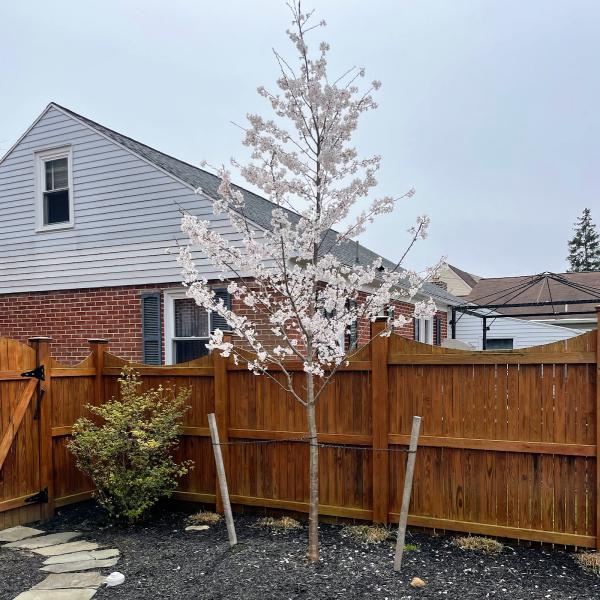 Integritree LLC