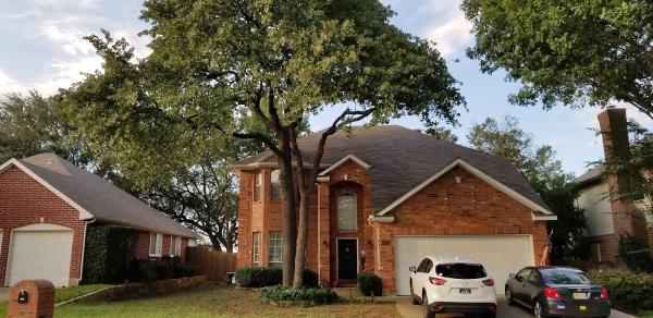 Acorn Tree Service