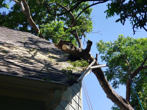 Acorn Tree Service