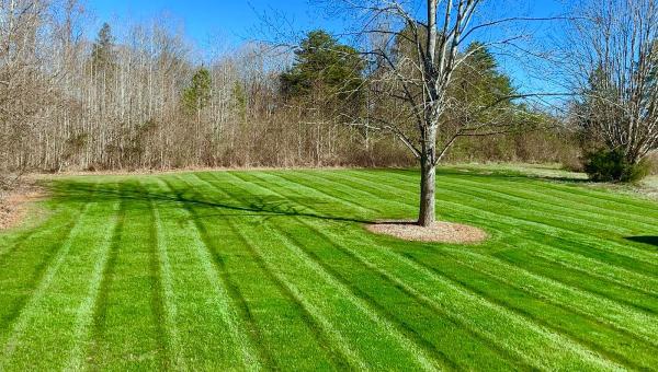 Five Star Lawn Care
