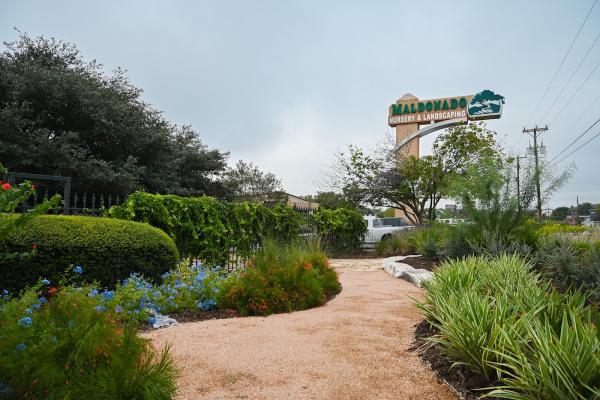 Maldonado Nursery & Landscaping