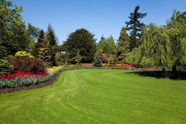 Green Thumb Unlimited