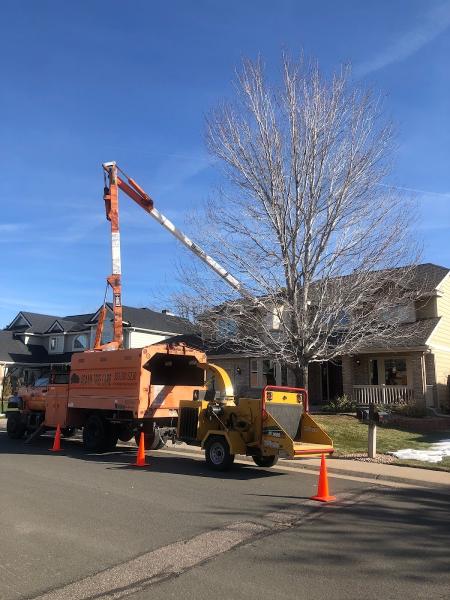 Adams Tree Care