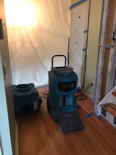 DR. Mold Removal