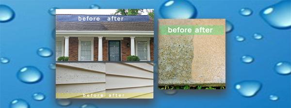 Brighthouse Exterior Wash