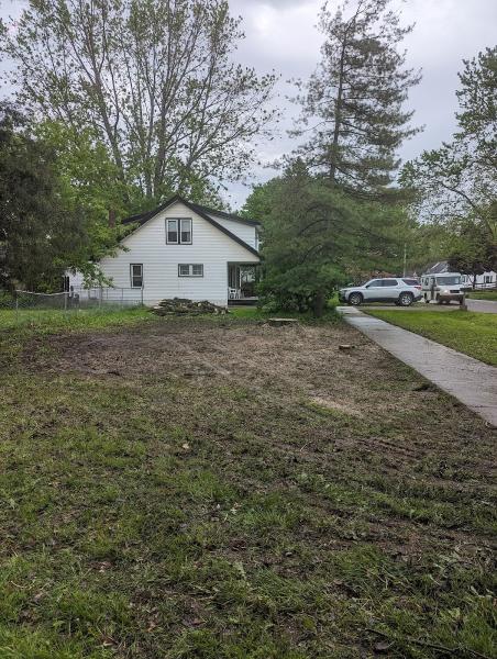 Burton Tree Service and Landscaping
