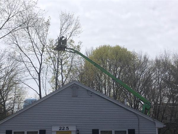 Cornerstone Tree Care