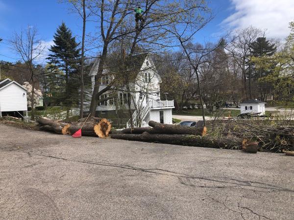 Cornerstone Tree Care