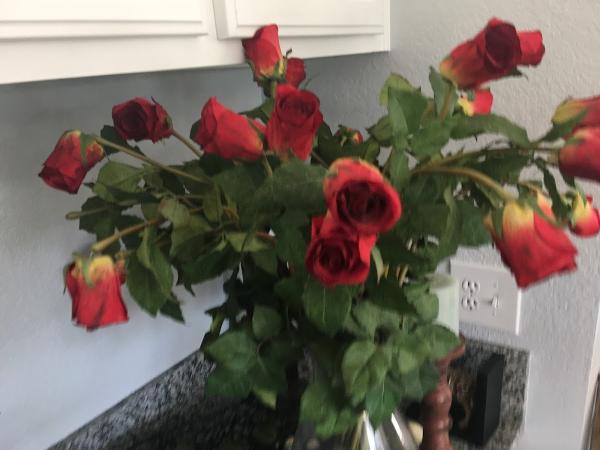 Homestagingstar.com
