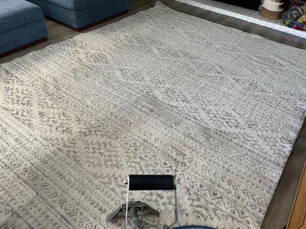 Mr Clean Carpet Care