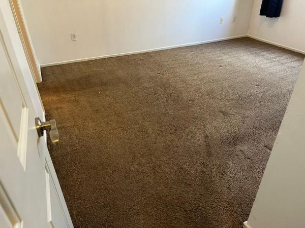 Mr Clean Carpet Care